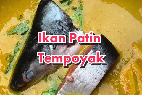 Patin Masak Tempoyak