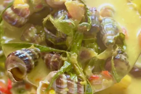 Masak Lemak Siput Sedut
