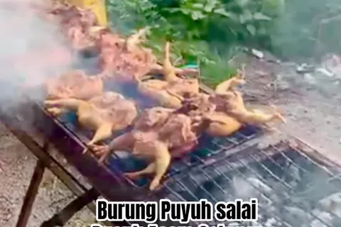 Purung Puyuh Salai Lemak