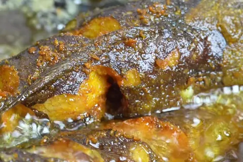 Sambal Ikan Keli