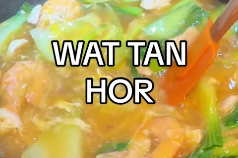 Watan Ho Simple