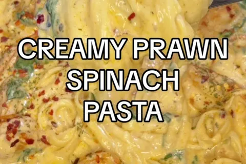 Pasta Udang Bayam