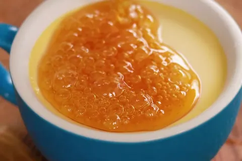 Japanese Caramel Pudding