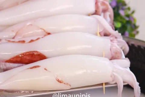 Ketupat Sotong