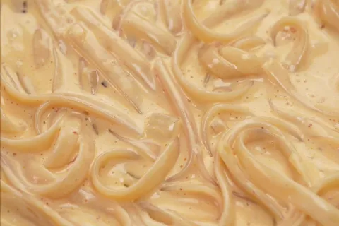 Creamy Fettuccine dengan Ayam Pedas