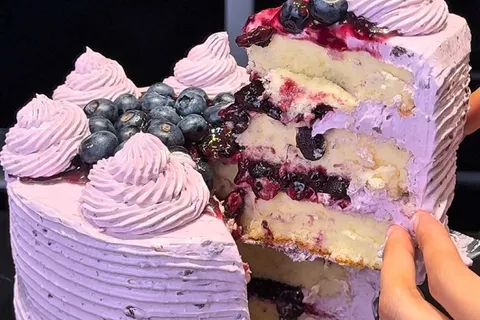 Blueberry Chiffon Cake