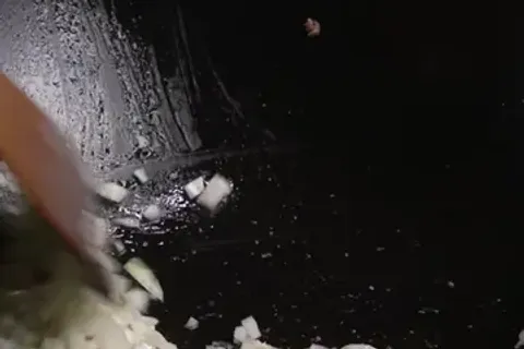 Tumis Bawang dan Cili